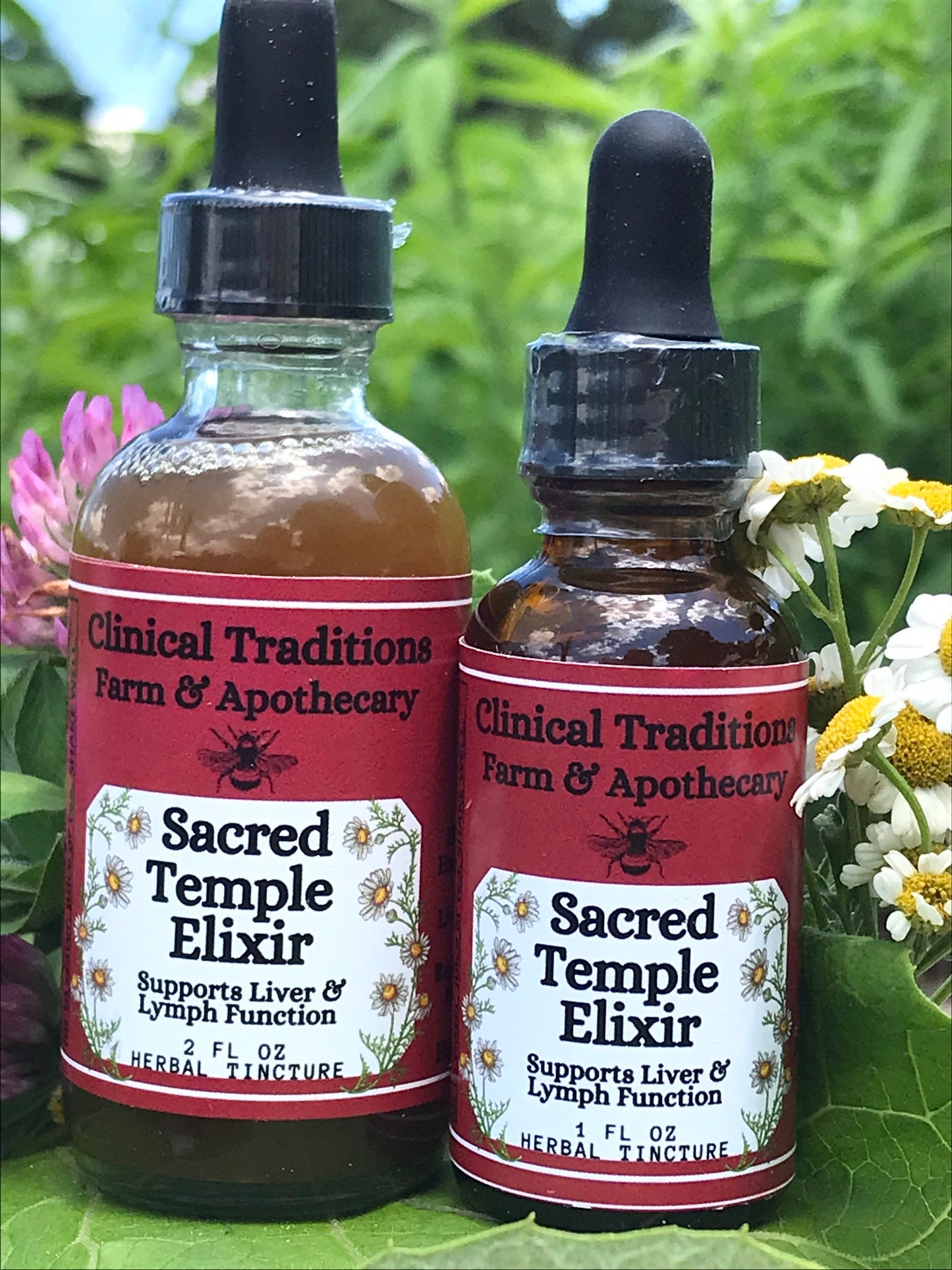 Sacred Temple Tincture:  Hormone Balancing, Liver & Lymph Support