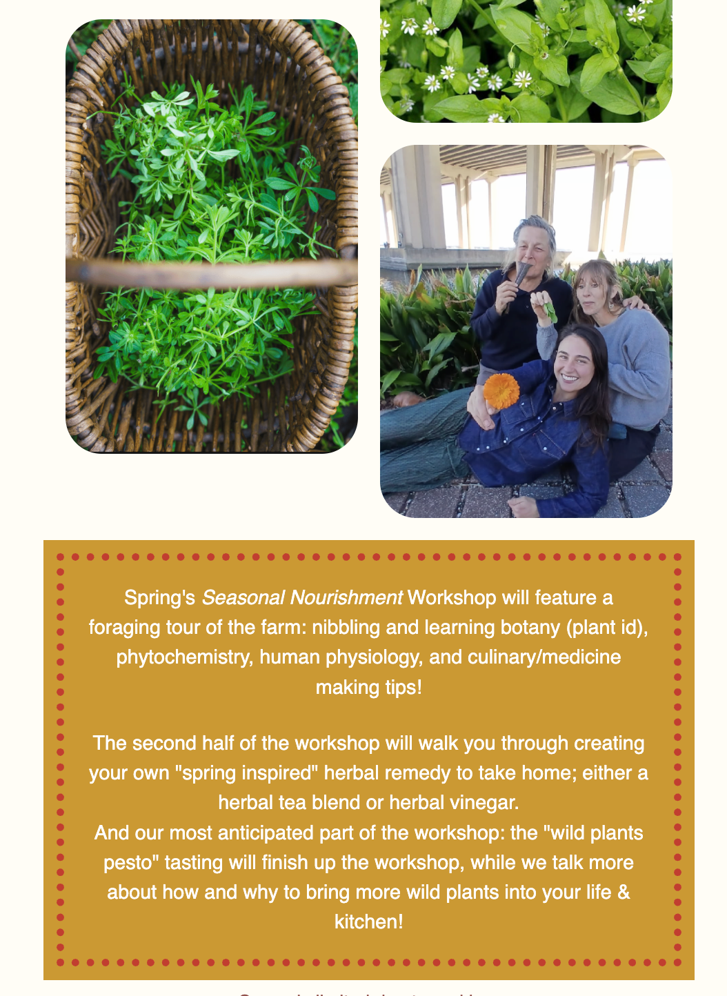 Spring's Herbalism Workshop: March 22nd, 2026