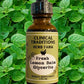 Lemon Balm Glycerite